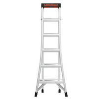 T. B. Davies Little Giant 6 Tread King Kombo Professional Step And Ladder