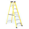 T. B. Davies Summit 10 Tread Trade GRP Swingback Step