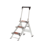 T. B. Davies TB Davies 3 Tread Little Giant Safety Steps