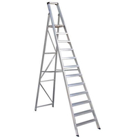 Youngman Youngman 12-Tread Platform Steps