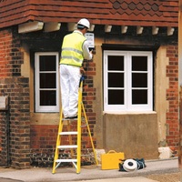 Youngman Youngman S400 6 Tread Glass Fibre Stepladder