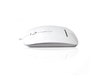Accuratus (Available whilst stock lasts) Ceratech Image White USB Blue