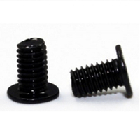 Acer 86.00E12.536 laptop spare part Screw