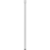 Axis T91B52 Extension Pipe