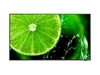 NEC MultiSync E438 Digital signage flat panel 108 cm (42.5") LCD