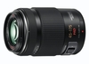 Panasonic H-PS45175E MILC Telephoto zoom lens Black