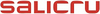 Salicru SNMP FOR SLC 10 CUBE INTERNAL USO