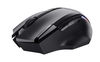 Trust GXT 131 Ranoo mouse Right-hand RF Wireless Optical 4800 DPI