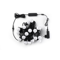 Twinkly Festoon Lights Startup kit 20 RGB LED G45 Bulbs 10 meter