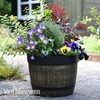 Autumn and Winter Tub Collection
