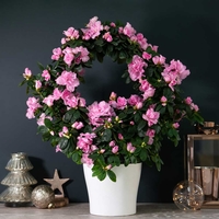 Azalea Hoop 