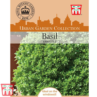Basil 