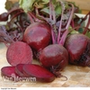 Beetroot 