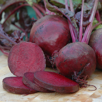 Beetroot 