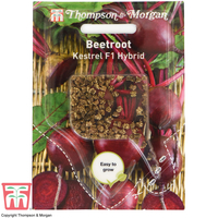 Beetroot 