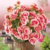 Begonia Sundial Red - 20 plug plants