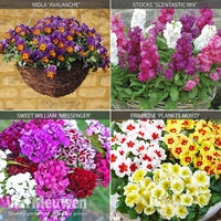 Best Value Bedding Collection