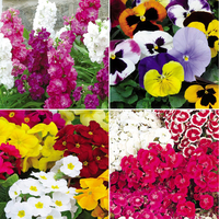 Best Value Winter Bedding Collection