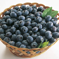Blueberry 