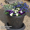 Blues Colour Collection