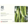 Broad Bean 