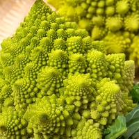 Broccoli 