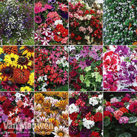 Bumper Garden Collection