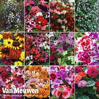 Bumper Garden Collection