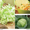 Cabbage 