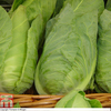 Cabbage 