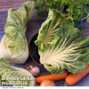 Cabbage 