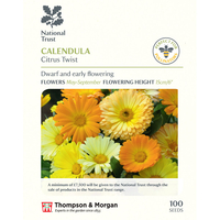 Calendula 