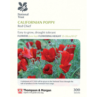 Californian Poppy 