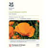 Californian Poppy 