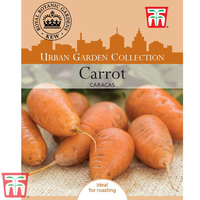Carrot 