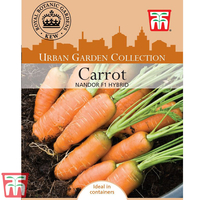 Carrot 