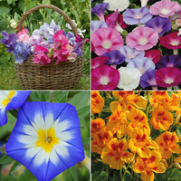 Climbers & Twiners Flower Collection