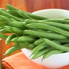 Climbing Bean 