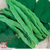 Climbing Bean 