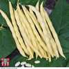Climbing Bean 