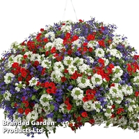 Colour-themed Collection - Pride Of Britain