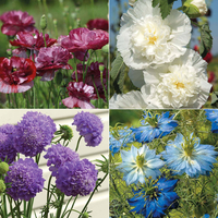 Cottage Garden Favourites Collection