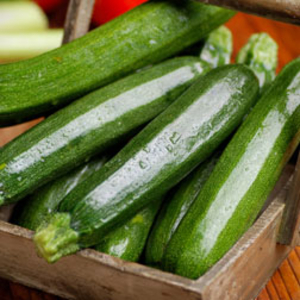 Courgette 