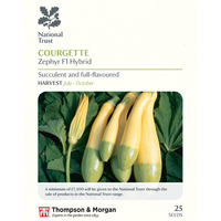 Courgette 