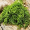 Dill