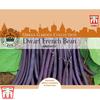 Dwarf Bean 
