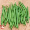Dwarf Bean 