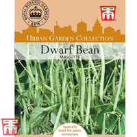 Dwarf Bean 