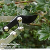 Garden Gear Telescopic Long Reach Bypass Lopper