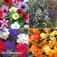 Garden Ready Basket Collection